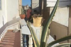 SurfHouse-4